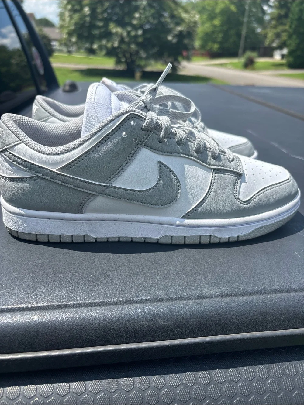 Nike Dunks Sneakers in Gray & White